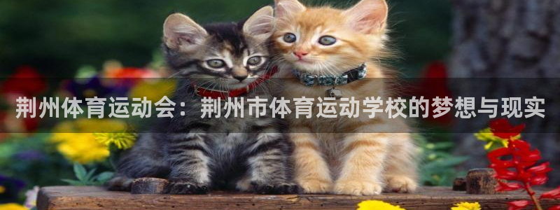米兰体育官方正版app娱乐平台:荆州体育运动会:荆州市体育运