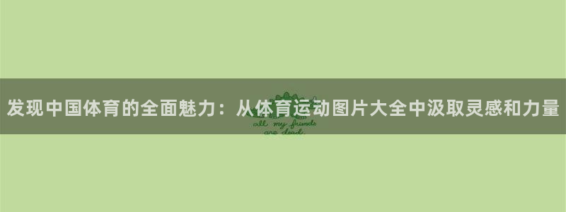 米兰体育官网下载招商电话:发现中国体育的全面魅力:从体育运动