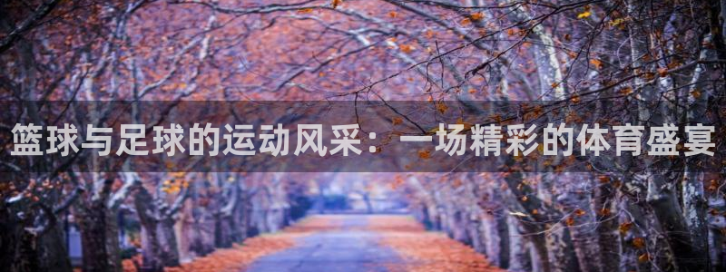 米兰体育官网下载平台注册要钱吗:篮球与足球的运动风采:一场精